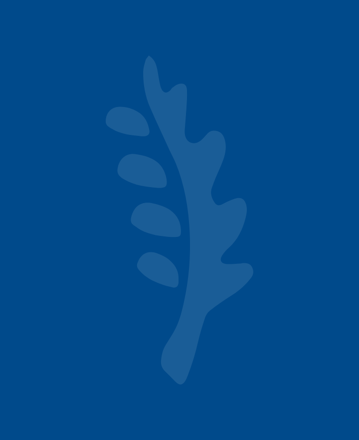 CI Capital Conference Egypt Connect – The Four Seasons Hotel Cairo First Residence – Feb 9th to 11th, 2026